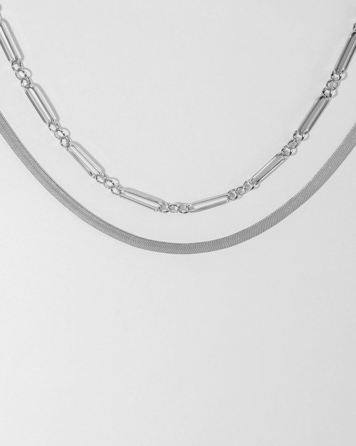 Colette by Colette Hayman Silver Snake And Long Chain Necklace